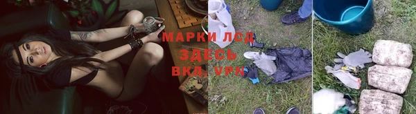 ALPHA PVP Беломорск