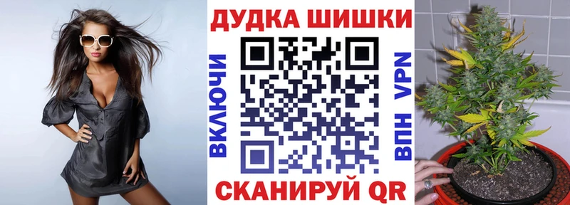 Бошки марихуана сатива  наркотики  Пестово 